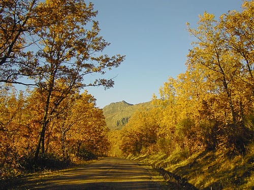 Vista de Montejo de la Sierra