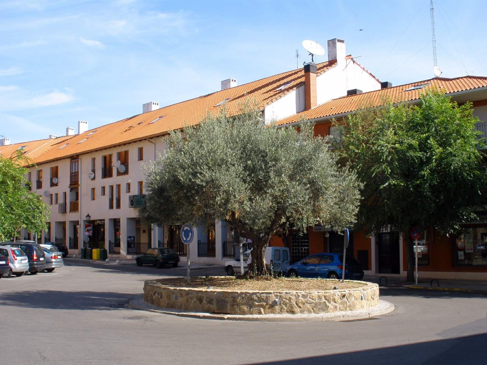 Vista de San Agustín del Guadalix